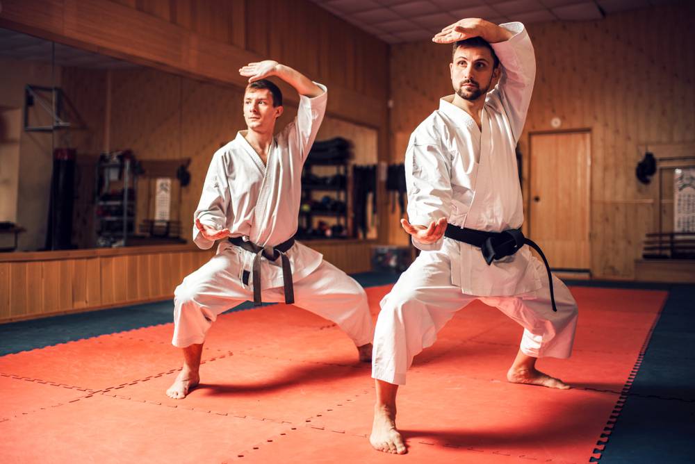 two martial artists training