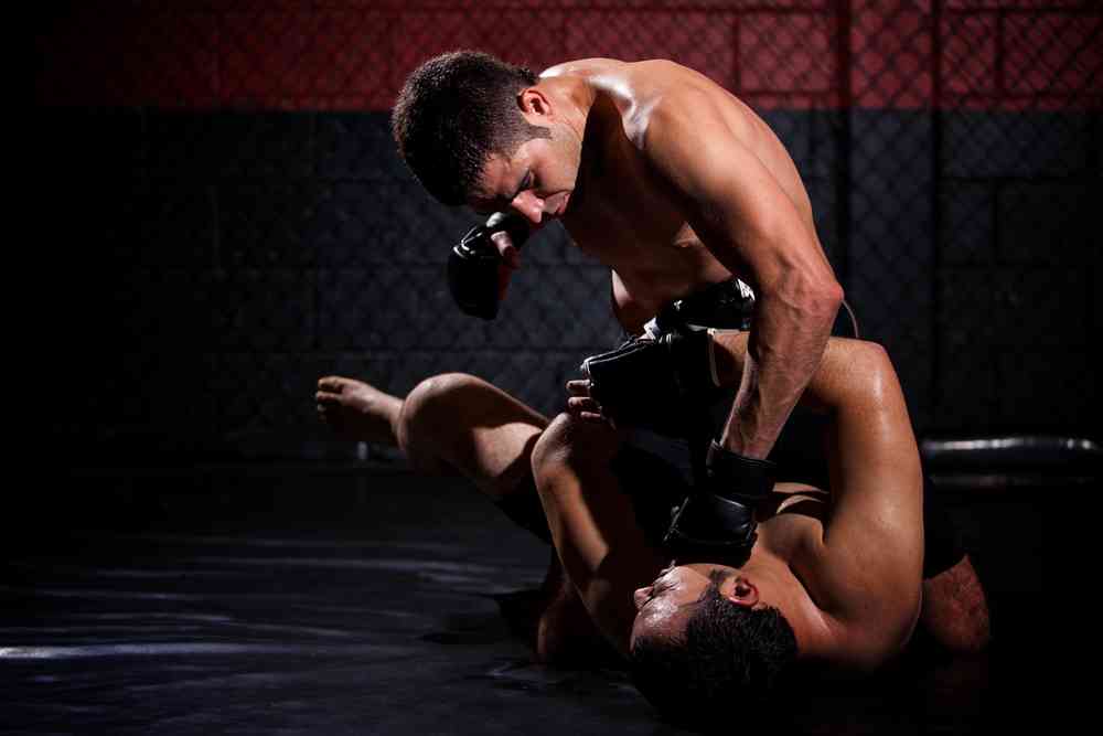 mixed martial art fighters