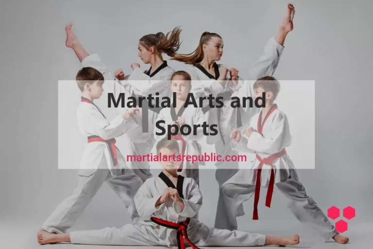 Is Martial Arts a Sport?