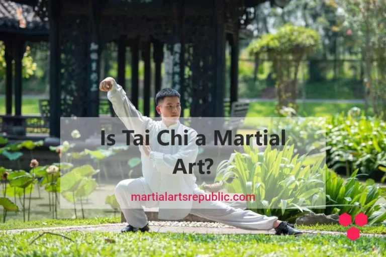 Is Tai Chi a Martial Art